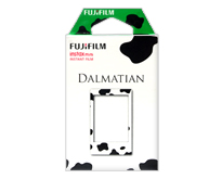 DALMATIAN �̴��ʸ�